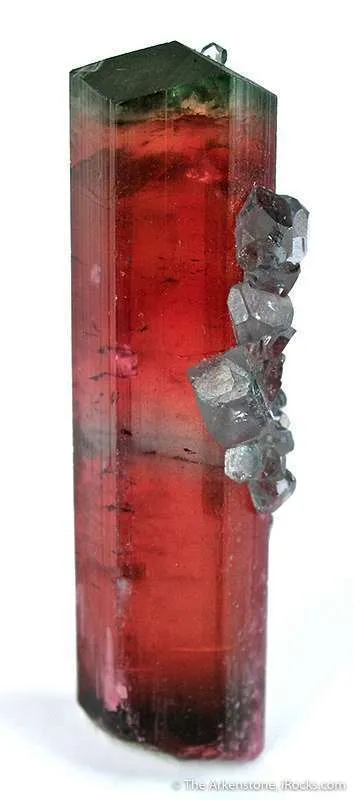 Elbaite Tourmaline With Apatite image