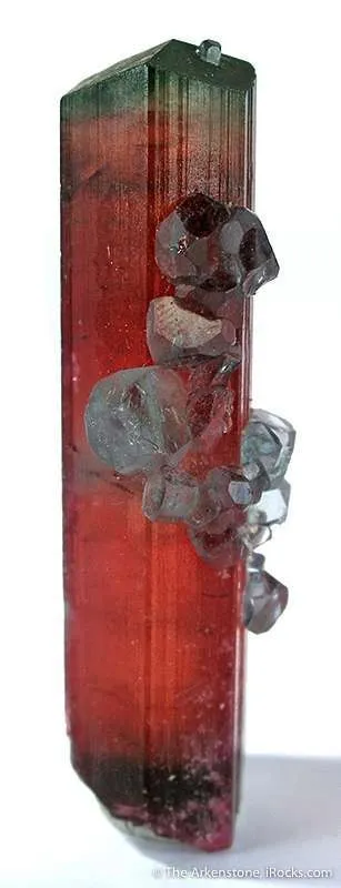 Elbaite Tourmaline With Apatite - image 2