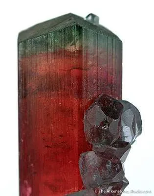 Elbaite Tourmaline With Apatite - image 4