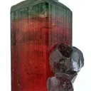 Elbaite Tourmaline With Apatite - image 4