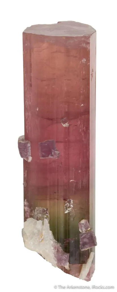 Elbaite Tourmaline with gem Lepidolite - image 2