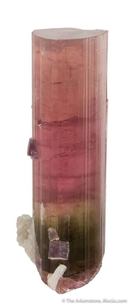 Elbaite Tourmaline with gem Lepidolite image