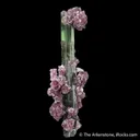 Elbaite Tourmaline with Lepidolite - image 1