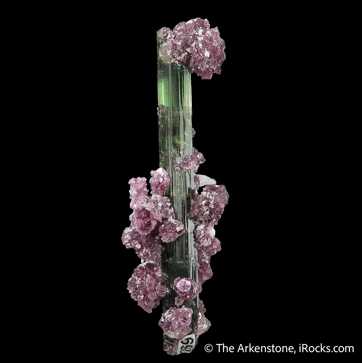 Elbaite Tourmaline with Lepidolite - image 1