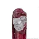 Elbaite Tourmaline with Lepidolite (1978 pocket) - image 2
