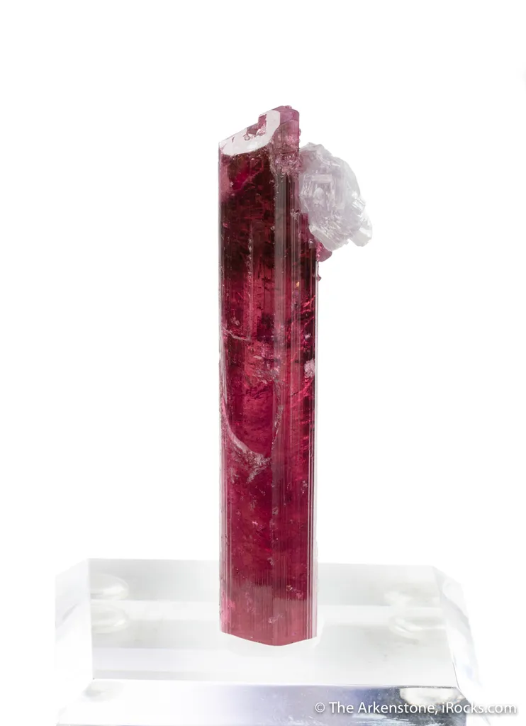 Elbaite Tourmaline with Lepidolite (1978 pocket) image
