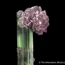 Elbaite Tourmaline with Lepidolite - image 4