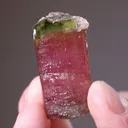Elbaite - Tourmaline with Lepidolite - image 2
