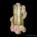 Elbaite Tourmaline with Lepidolite - image 6