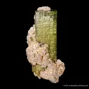 Elbaite Tourmaline with Lepidolite - image 4