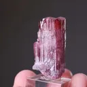 Elbaite - Tourmaline with Lepidolite - image 2