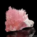 Elbaite Tourmaline with Lepidolite - image 1