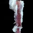Elbaite Tourmaline With Lepidolite and Cleavelandite - image 2