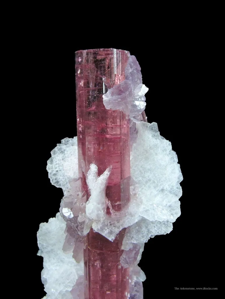 Elbaite Tourmaline With Lepidolite and Cleavelandite image