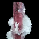 Elbaite Tourmaline With Lepidolite and Cleavelandite - image 1
