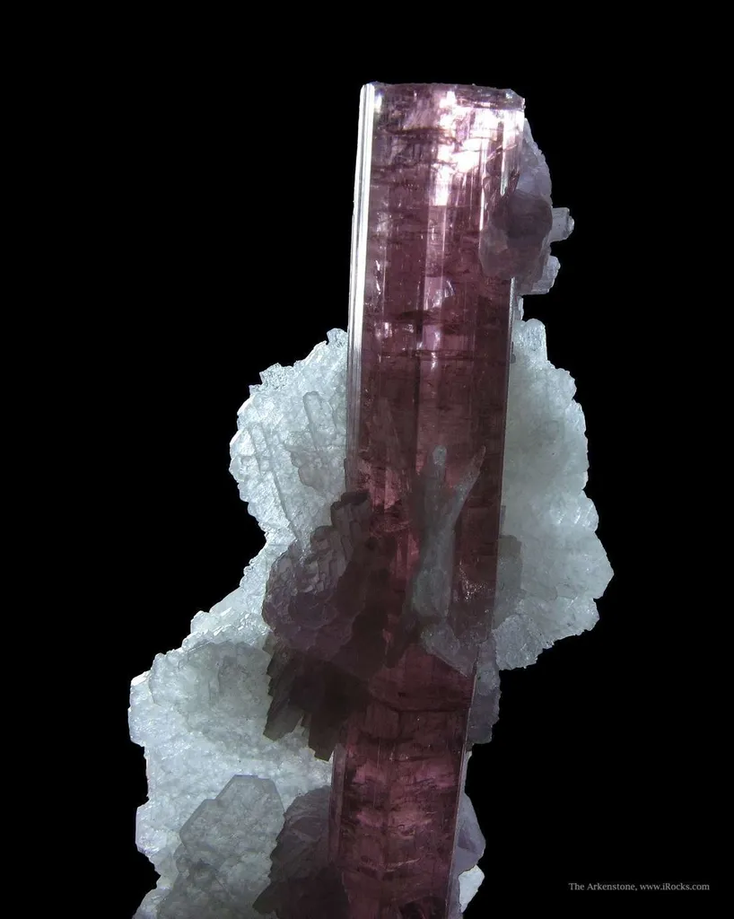 Elbaite Tourmaline With Lepidolite and Cleavelandite - image 6