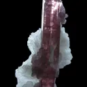 Elbaite Tourmaline With Lepidolite and Cleavelandite - image 6