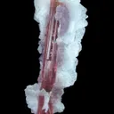 Elbaite Tourmaline With Lepidolite and Cleavelandite - image 5