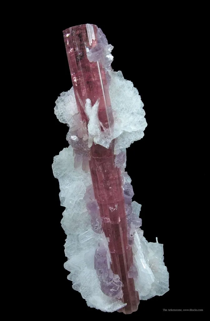 Elbaite Tourmaline With Lepidolite and Cleavelandite - image 3