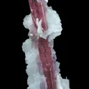 Elbaite Tourmaline With Lepidolite and Cleavelandite - image 3