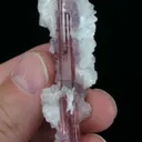 Elbaite Tourmaline With Lepidolite and Cleavelandite - image 4