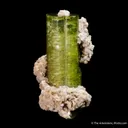 Elbaite Tourmaline with Lepidolite - image 1