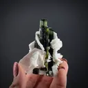 Elbaite Tourmaline with Lepidolite in Cleavelandite - image 2