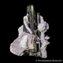 Elbaite Tourmaline with Lepidolite in Cleavelandite - image 6