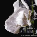 Elbaite Tourmaline with Lepidolite in Cleavelandite - image 4