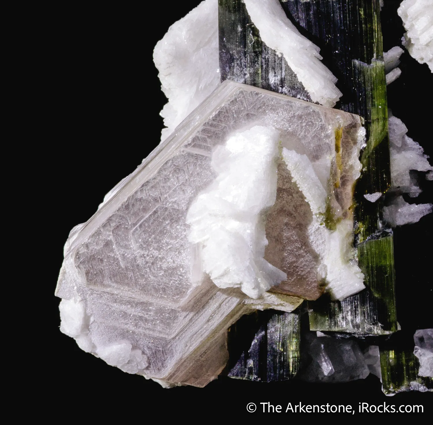 Elbaite Tourmaline with Lepidolite in Cleavelandite - image 4