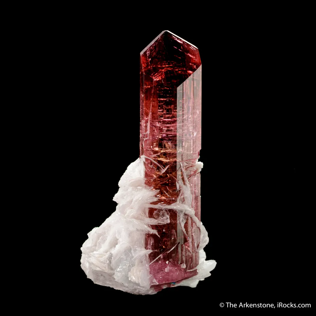 Elbaite Tourmaline with Muscovite - image 4