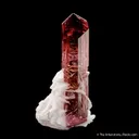 Elbaite Tourmaline with Muscovite - image 4