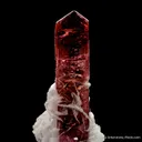Elbaite Tourmaline with Muscovite - image 2