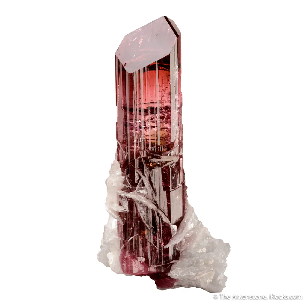 Elbaite Tourmaline with Muscovite - image 3