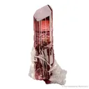 Elbaite Tourmaline with Muscovite - image 3