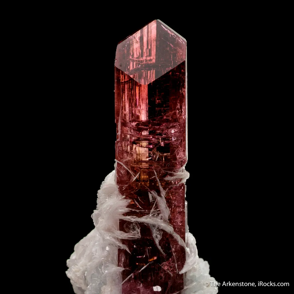 Elbaite Tourmaline with Muscovite image