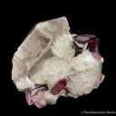 Elbaite Tourmaline with Muscovite and Quartz - image 1