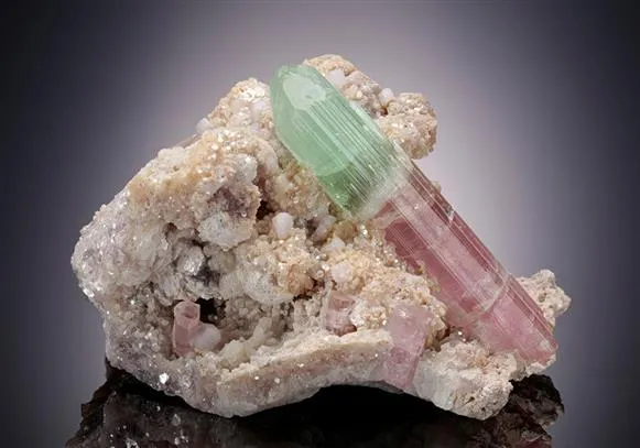 Elbaite Tourmaline with Pollucite on Muscovite image