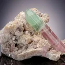 Elbaite Tourmaline with Pollucite on Muscovite - image 1