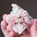 Elbaite Tourmaline with Pollucite on Muscovite - image 2