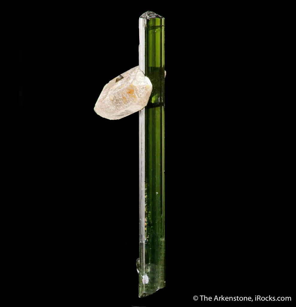 Elbaite Tourmaline with Quartz - image 2