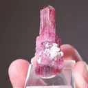 Elbaite - Tourmaline with Quartz - image 2