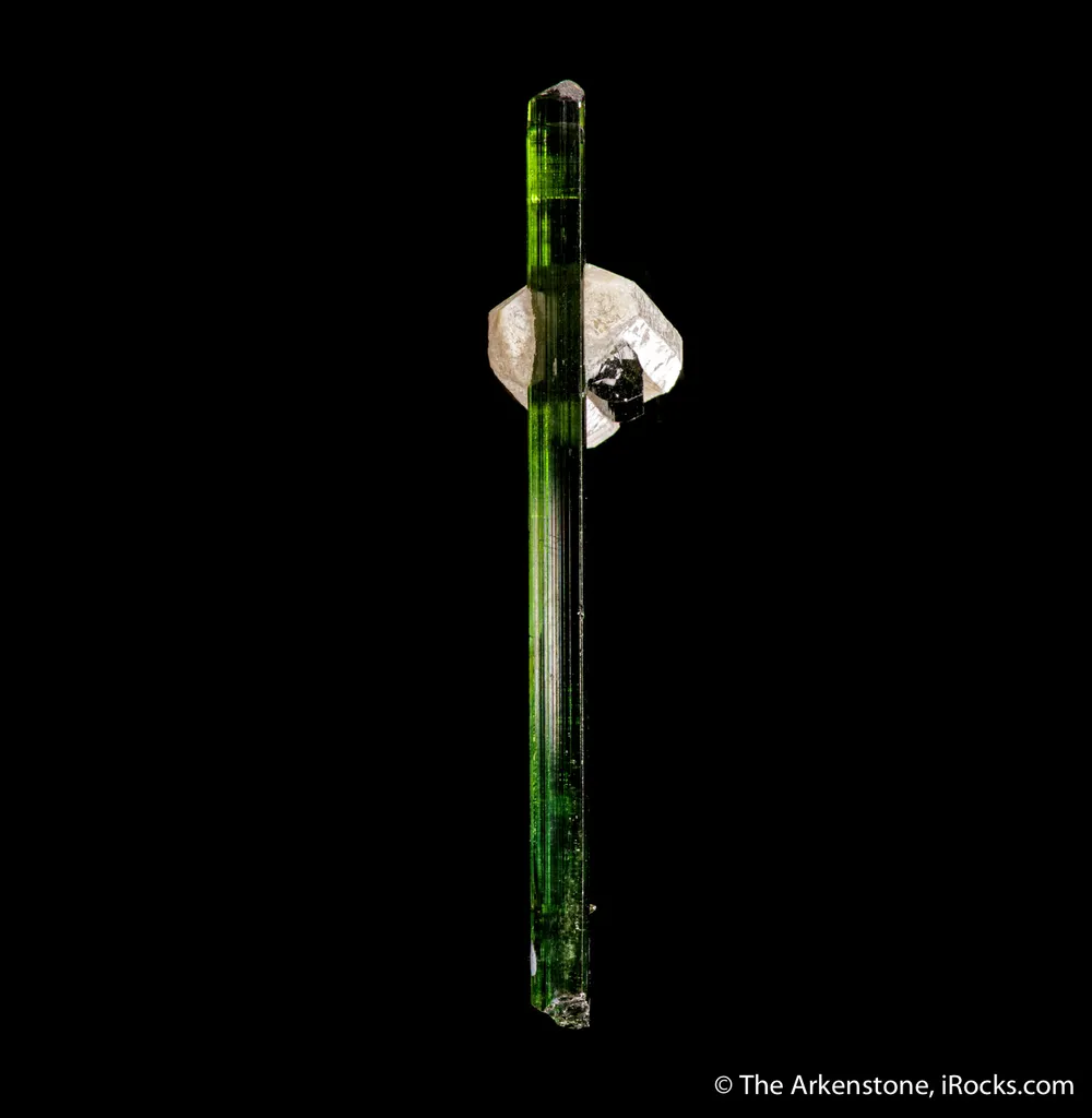 Elbaite Tourmaline with Quartz - image 3