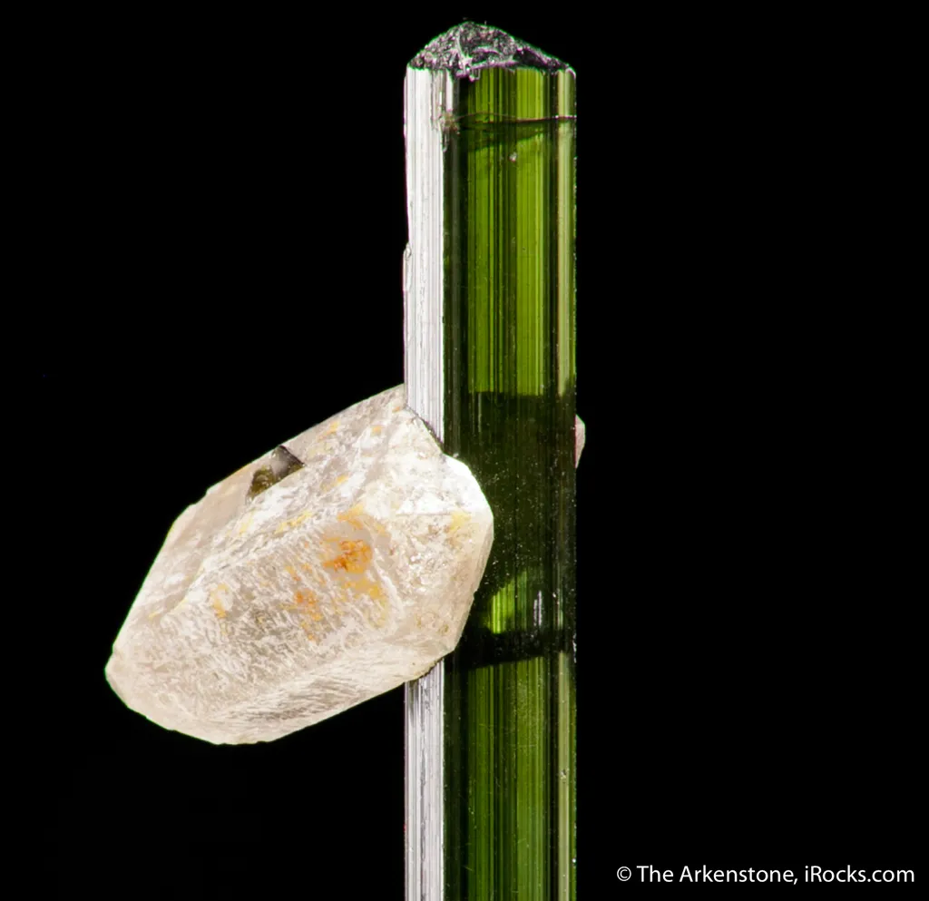 Elbaite Tourmaline with Quartz image