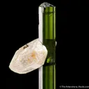 Elbaite Tourmaline with Quartz - image 1