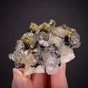 Elbaite Tourmaline with Quartz - image 1