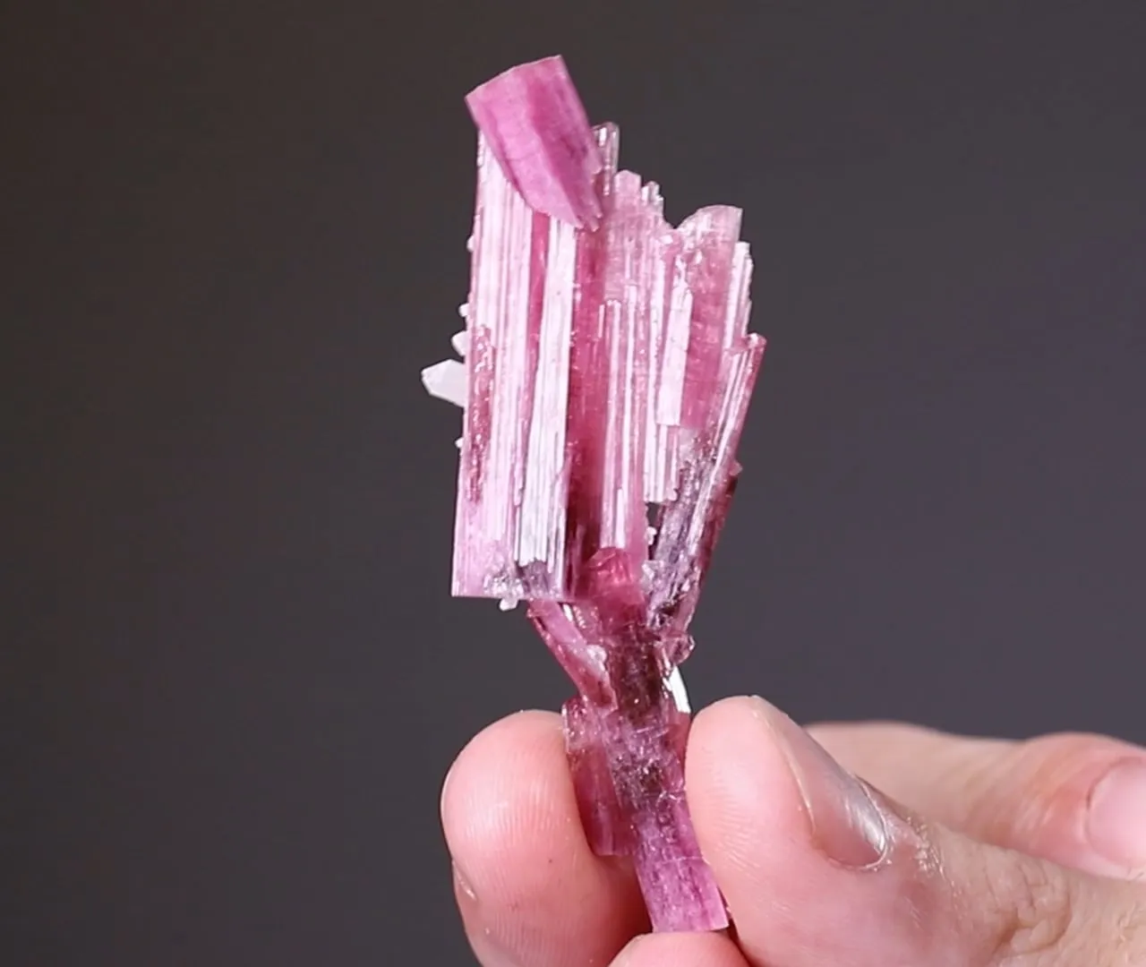 Elbaite - Tourmaline with Quartz - image 2