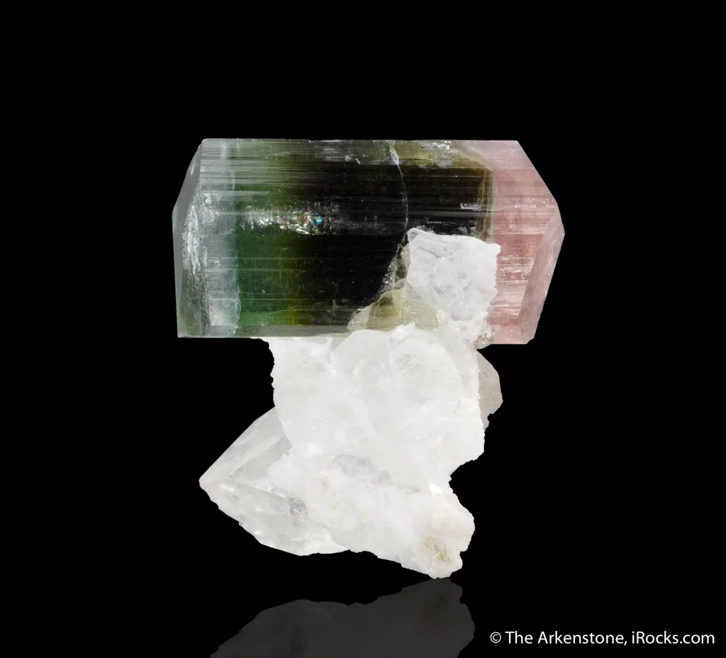 Elbaite Tourmaline with Quartz and Albite - image 3