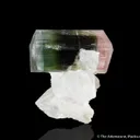 Elbaite Tourmaline with Quartz and Albite - image 3