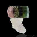 Elbaite Tourmaline with Quartz and Albite - image 1